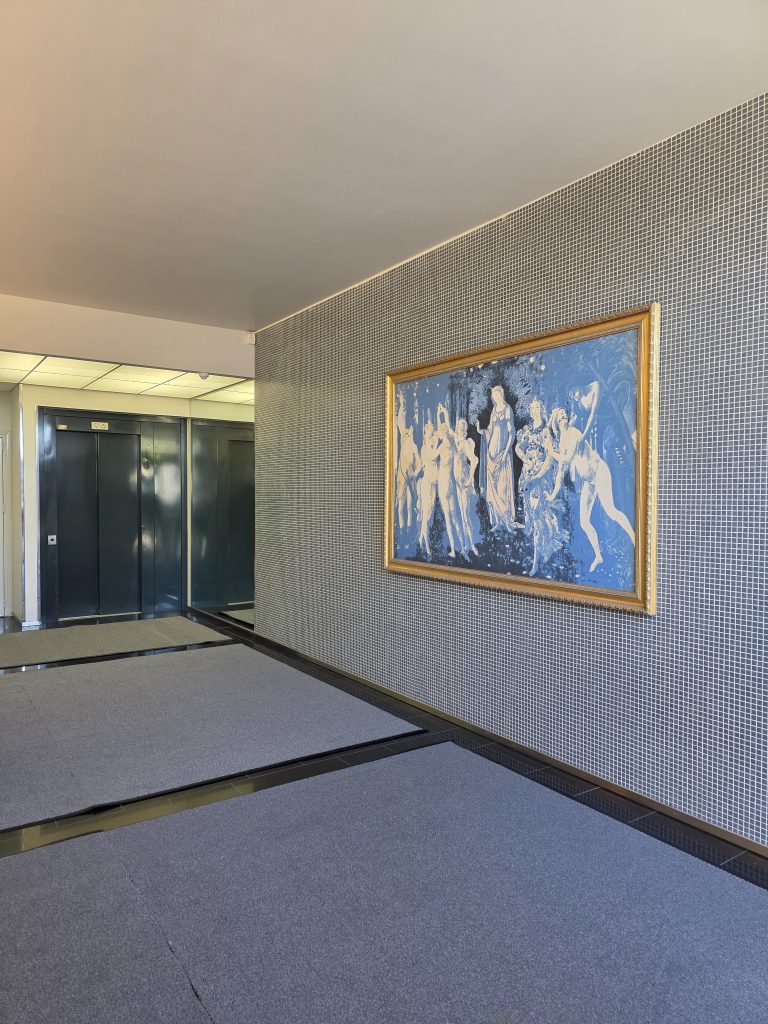 Leveä käytävämatto harmaa